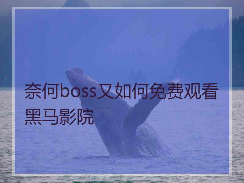 奈何boss又如何免费观看黑马影院