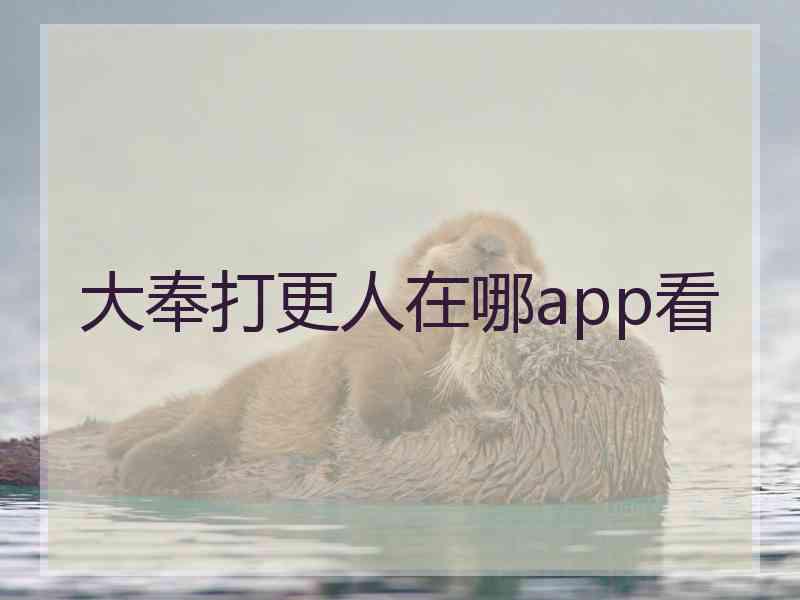 大奉打更人在哪app看