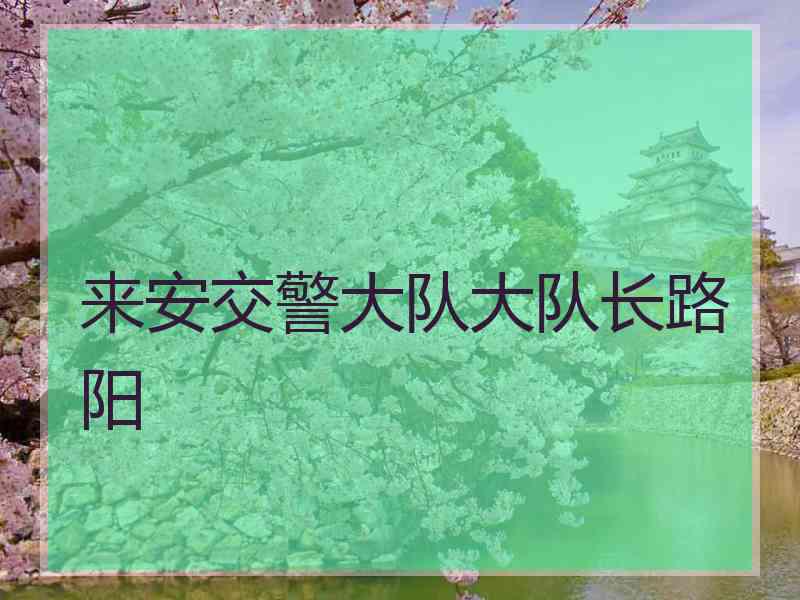 来安交警大队大队长路阳