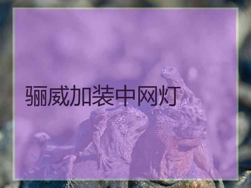 骊威加装中网灯