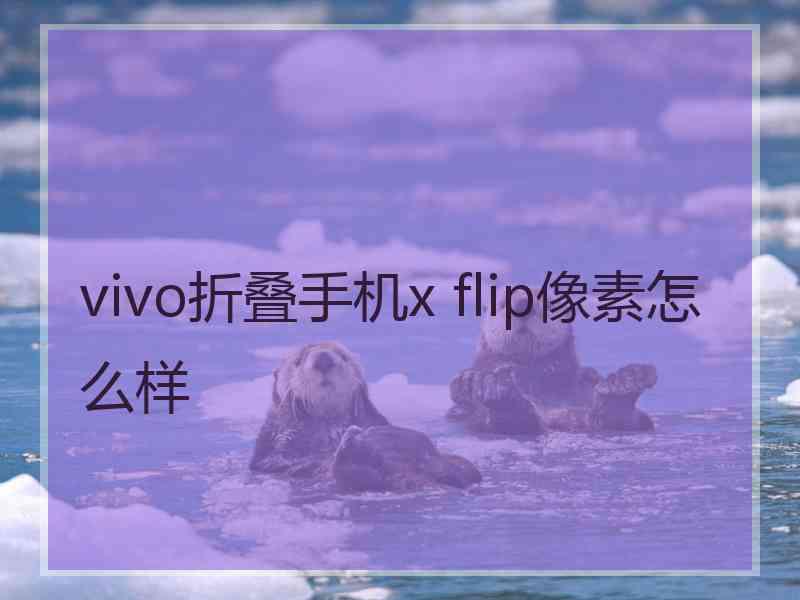 vivo折叠手机x flip像素怎么样