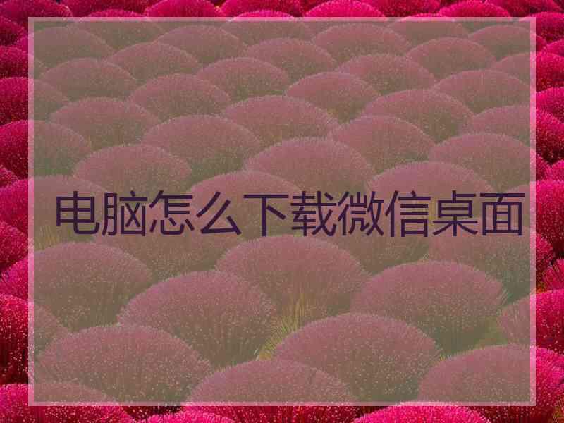 电脑怎么下载微信桌面