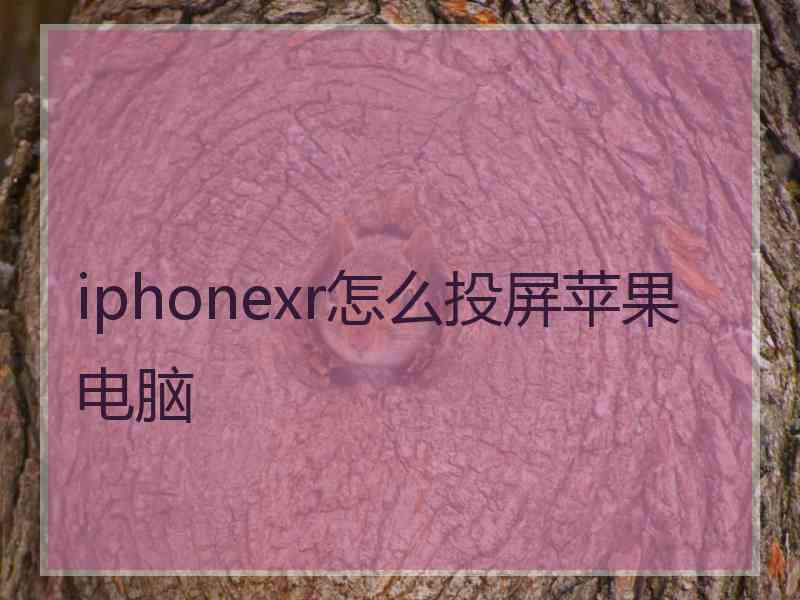 iphonexr怎么投屏苹果电脑