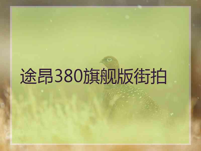 途昂380旗舰版街拍