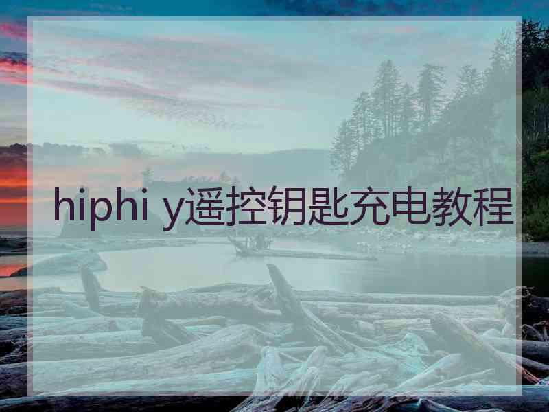 hiphi y遥控钥匙充电教程