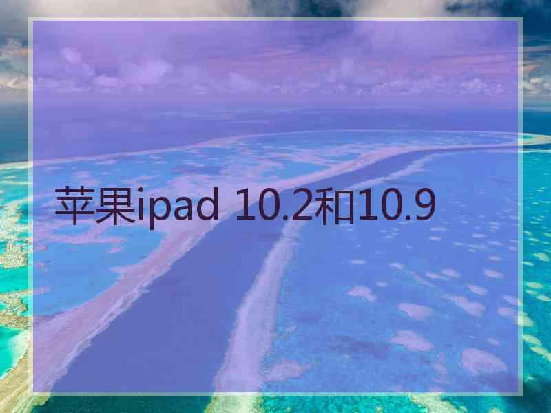 苹果ipad 10.2和10.9