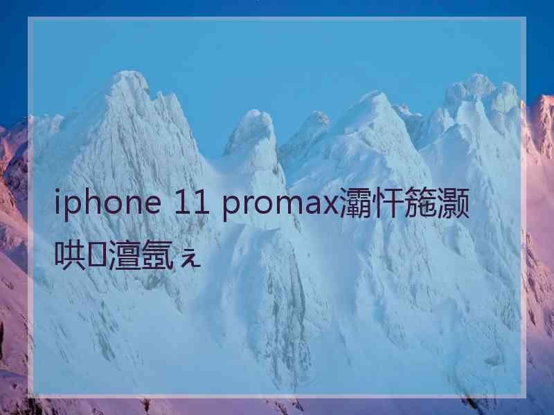 iphone 11 promax灞忓箷灏哄澶氬ぇ