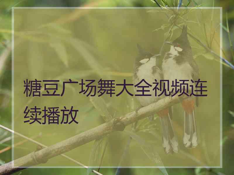 糖豆广场舞大全视频连续播放