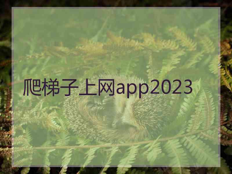 爬梯子上网app2023