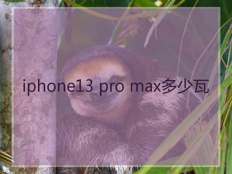 iphone13 pro max多少瓦