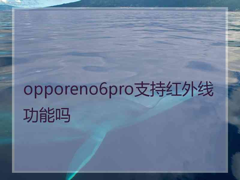 opporeno6pro支持红外线功能吗