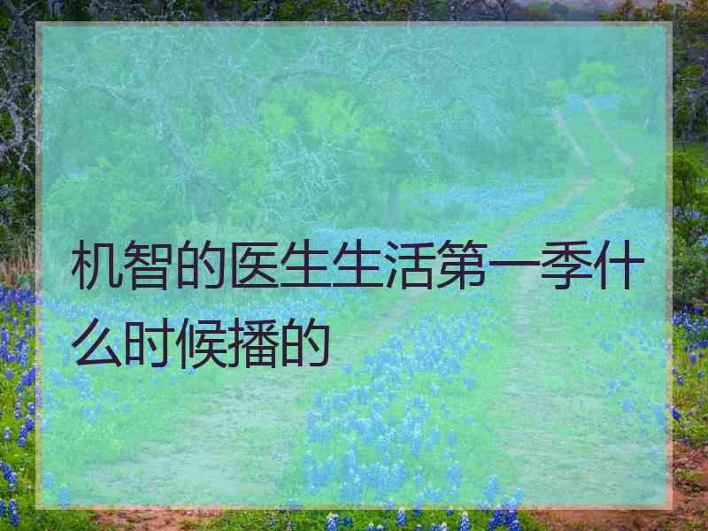 机智的医生生活第一季什么时候播的