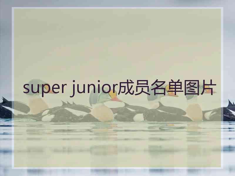 super junior成员名单图片