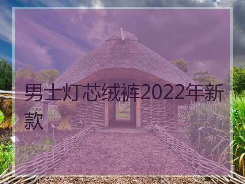 男士灯芯绒裤2022年新款