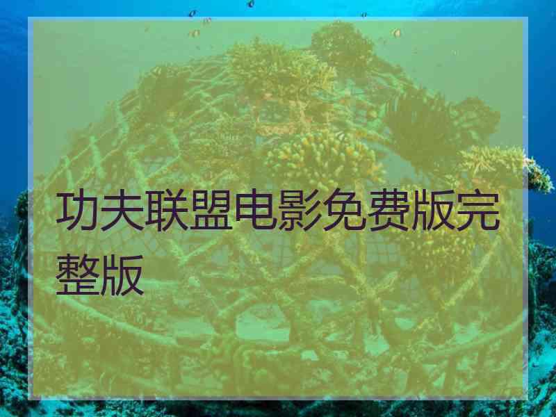 功夫联盟电影免费版完整版