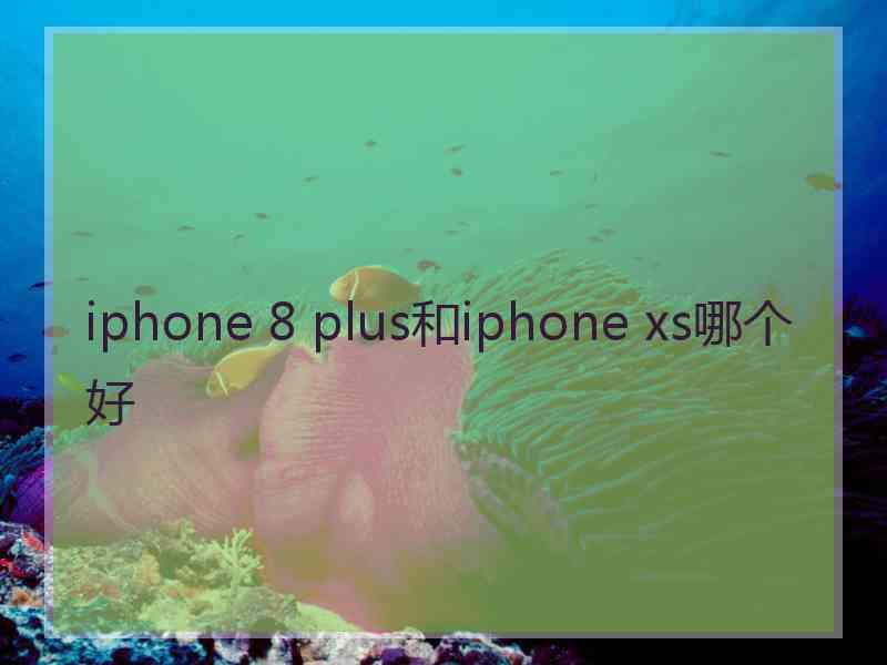 iphone 8 plus和iphone xs哪个好