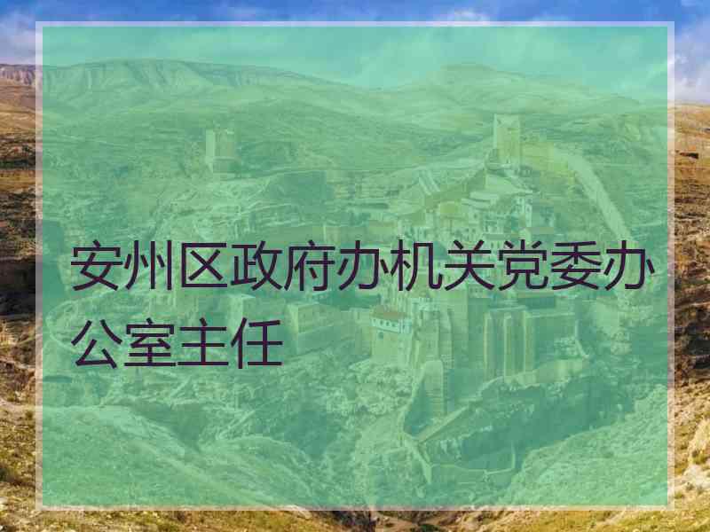 安州区政府办机关党委办公室主任