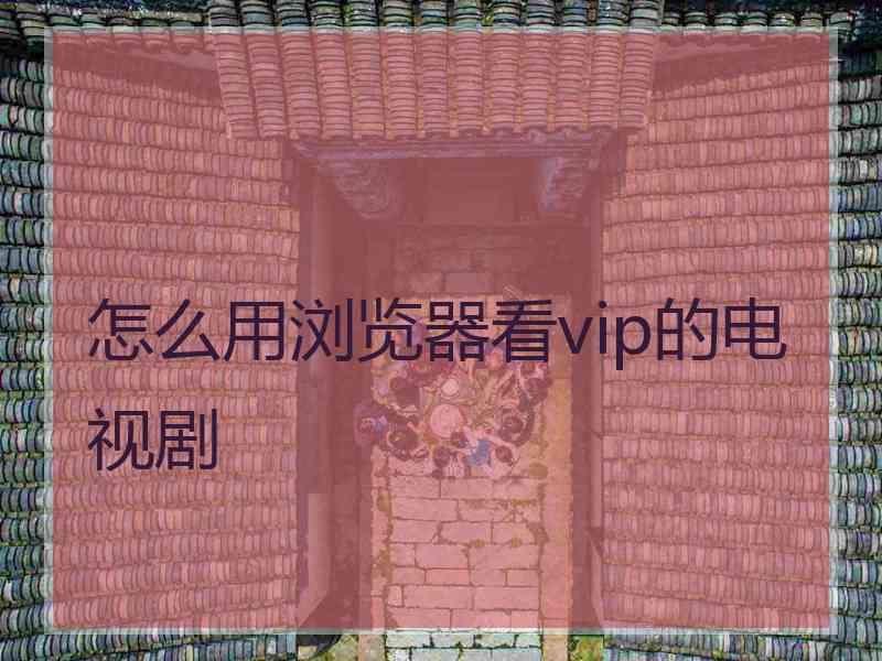 怎么用浏览器看vip的电视剧