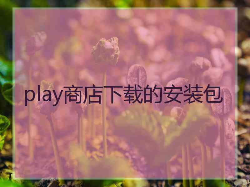 play商店下载的安装包