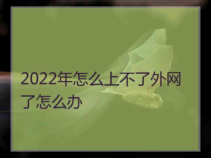 2022年怎么上不了外网了怎么办