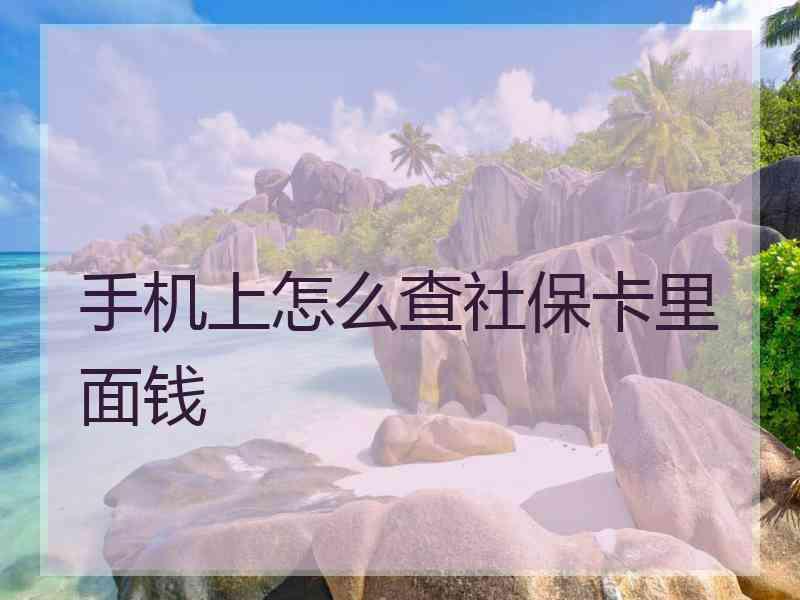 手机上怎么查社保卡里面钱