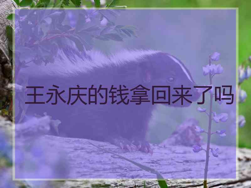 王永庆的钱拿回来了吗