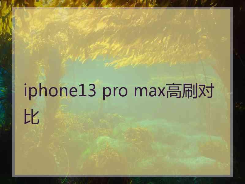 iphone13 pro max高刷对比