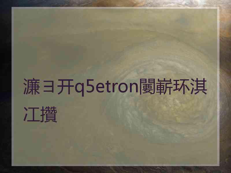 濂ヨ开q5etron闄嶄环淇冮攢