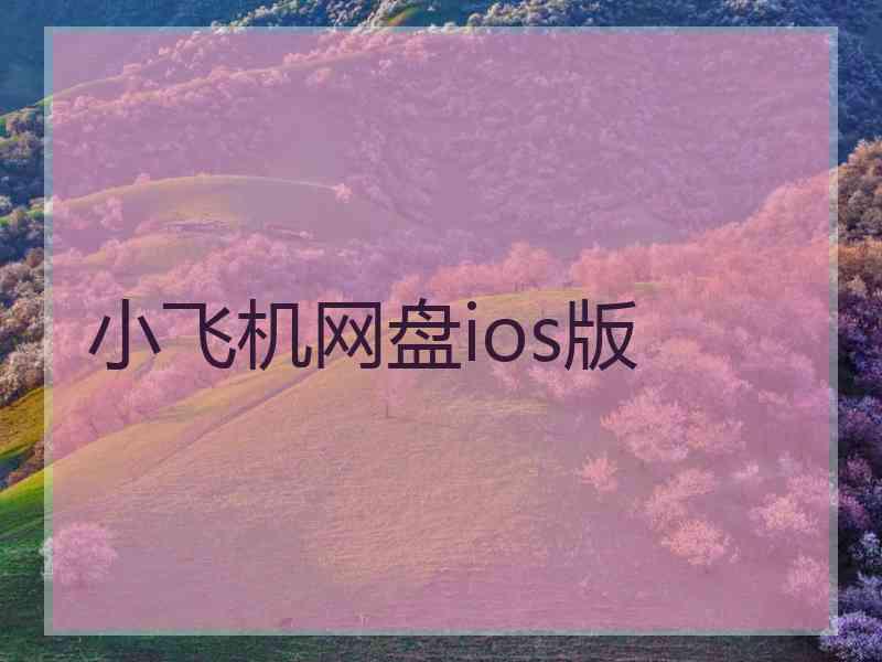 小飞机网盘ios版