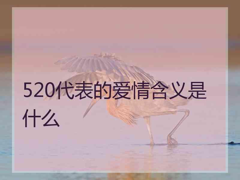 520代表的爱情含义是什么