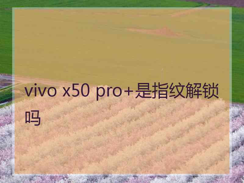 vivo x50 pro+是指纹解锁吗