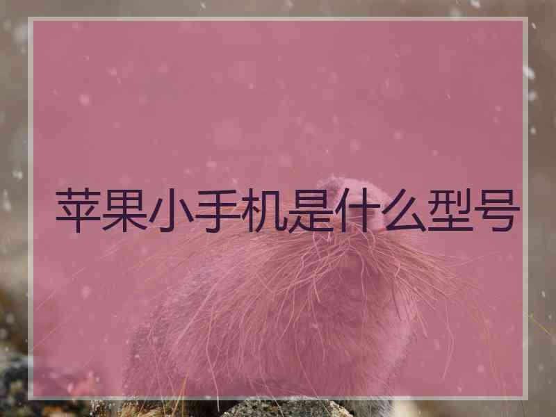 苹果小手机是什么型号