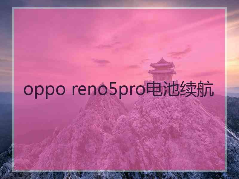 oppo reno5pro电池续航