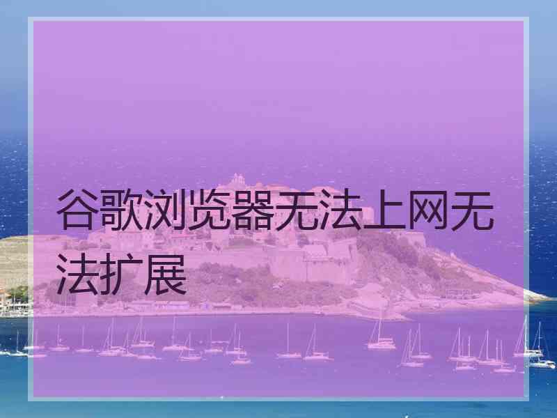 谷歌浏览器无法上网无法扩展