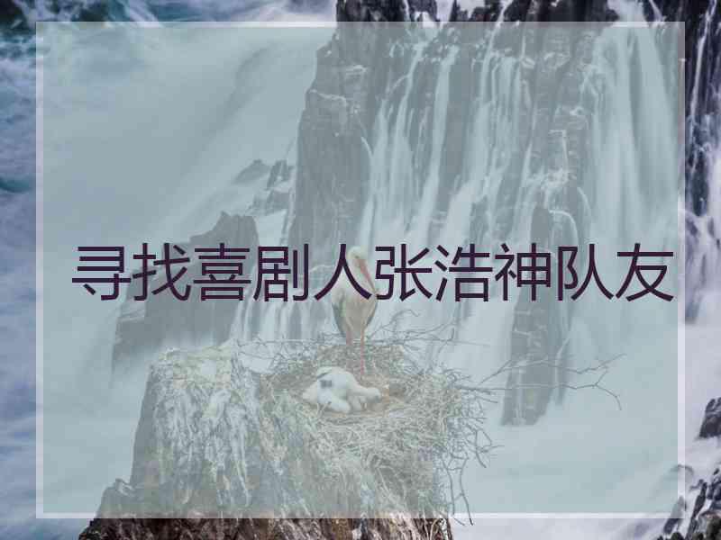 寻找喜剧人张浩神队友