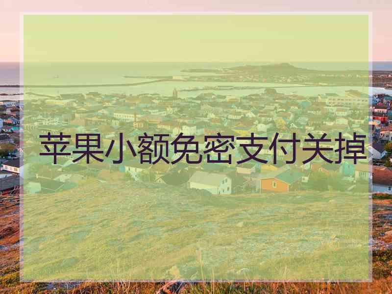 苹果小额免密支付关掉