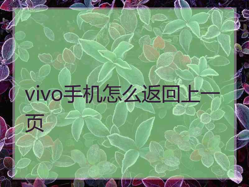 vivo手机怎么返回上一页