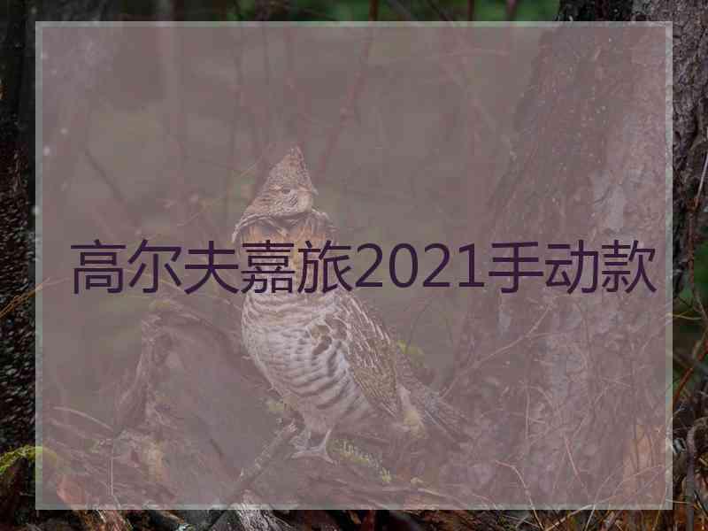 高尔夫嘉旅2021手动款