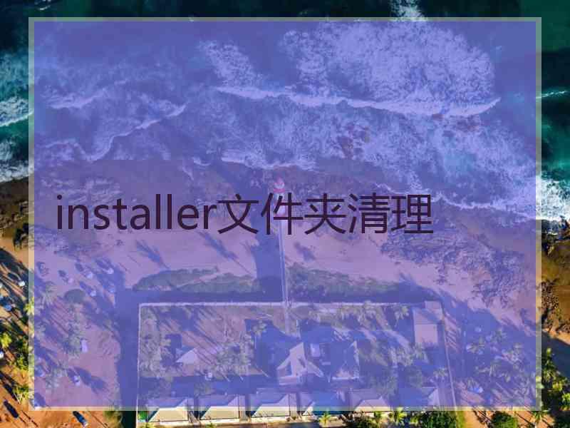 installer文件夹清理