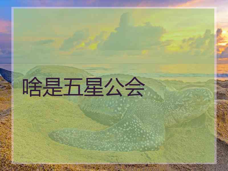 啥是五星公会