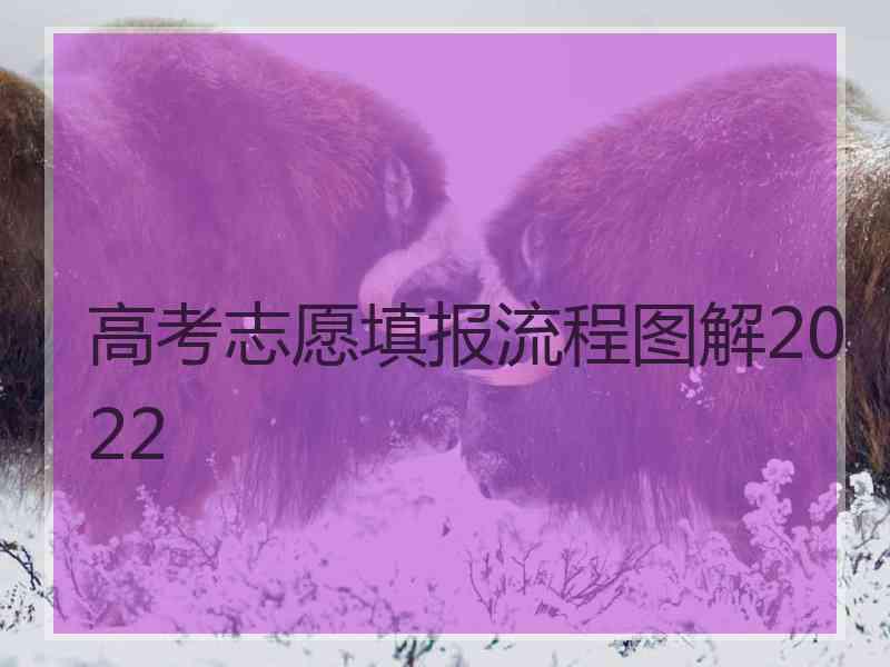 高考志愿填报流程图解2022