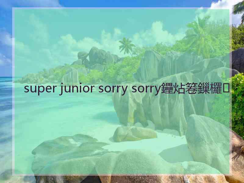 super junior sorry sorry鑸炶箞鏁欏