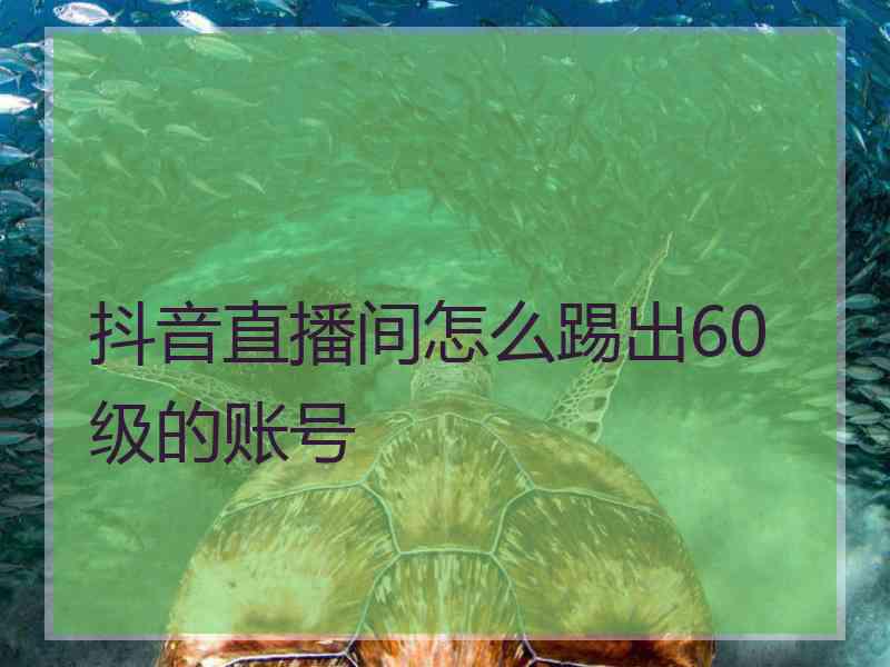 抖音直播间怎么踢出60级的账号