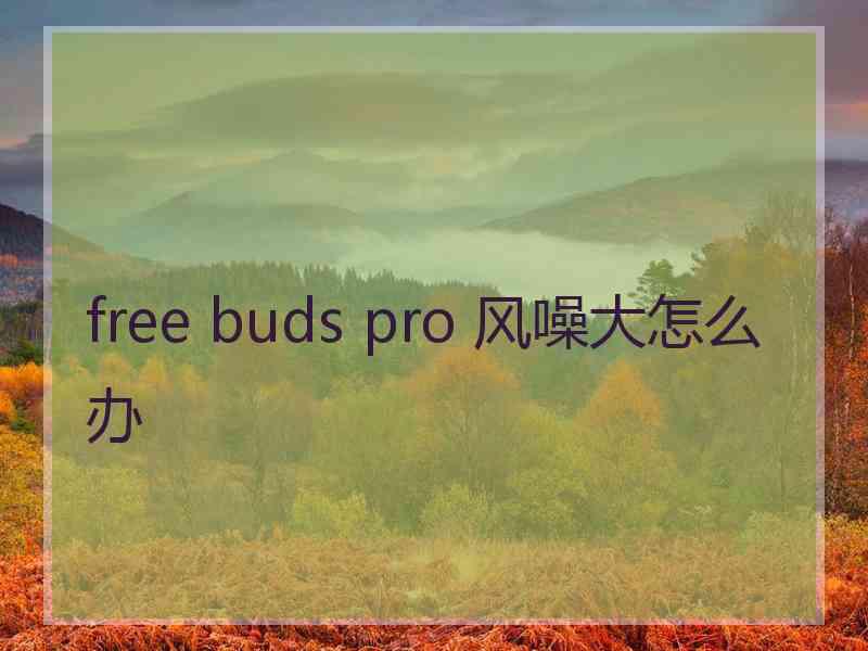 free buds pro 风噪大怎么办