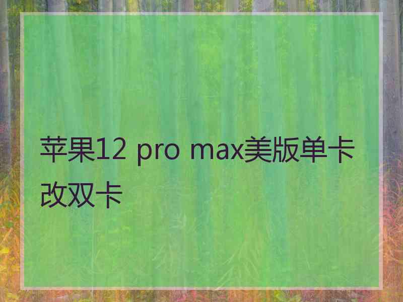 苹果12 pro max美版单卡改双卡