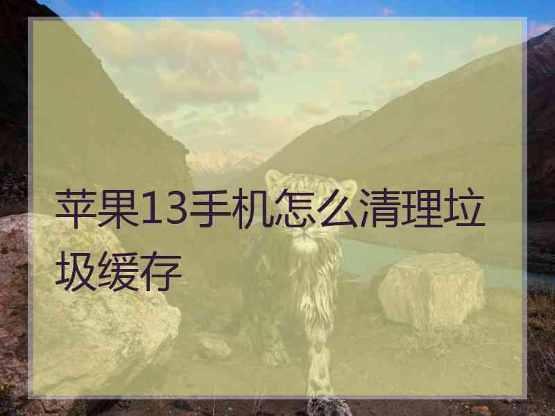 苹果13手机怎么清理垃圾缓存