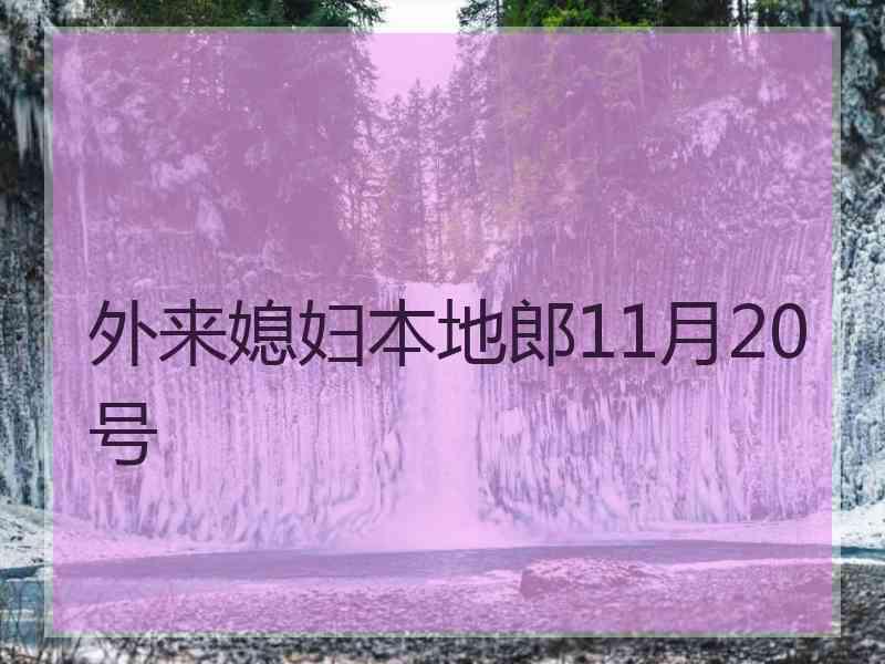 外来媳妇本地郎11月20号