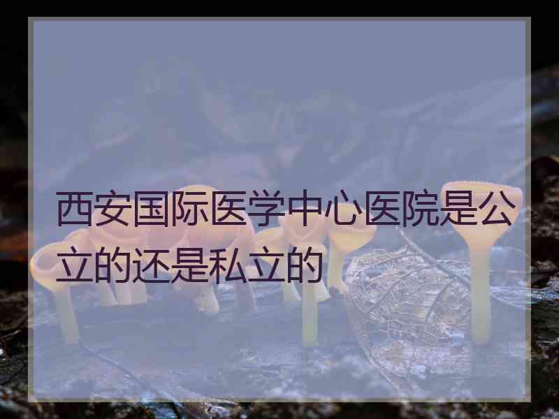 西安国际医学中心医院是公立的还是私立的