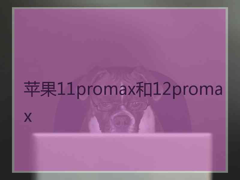 苹果11promax和12promax