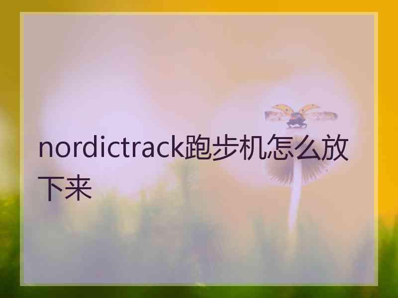 nordictrack跑步机怎么放下来